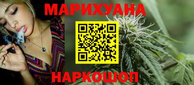 сатива Гатчина