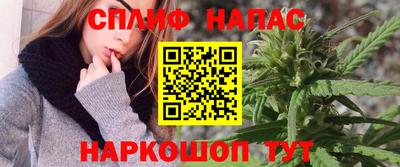 сатива Гатчина