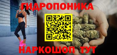 сатива Гатчина