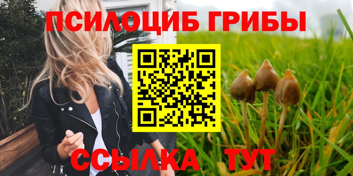 Гуково  Галлюциногенные грибы Psilocybine cubensis  даркнет сайт  Вход с VPN  Галлюциногенные грибы Cubensis 